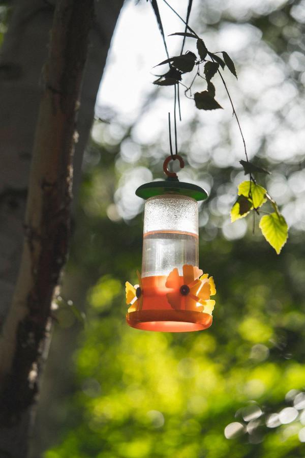El Colibri Cabanas De La Naturaleza Trelew Extérieur photo